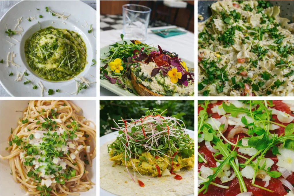 Microgreens Garnish Ideas: Creative & Flavorful Ways to Elevate Your Dishes