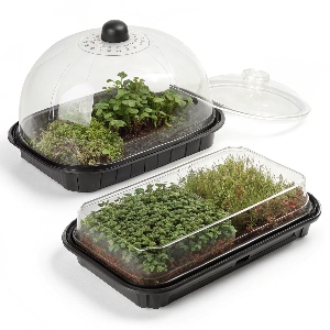 Humidity Domes